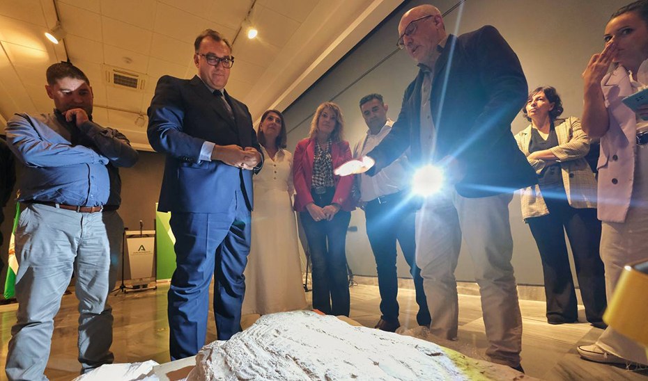 Imagen del artículo El Museo de Huelva exhibirá la singular estela diademada hallada en el yacimiento del Camino de las Capellanías
